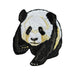 Panda Cub Patch - Embroidered Patch - Blueplanetjewelry.com