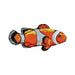 Clown Fish Patch - Embroidered Patch - Blueplanetjewelry.com