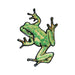 Green Tree Frog Patch - Embroidered Patch - Blueplanetjewelry.com