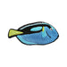 Blue Tang Fish Patch - Embroidered Patch - Blueplanetjewelry.com
